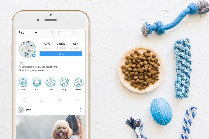 50 Pet Instagram Story Highlight Icons
