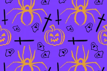 Spider